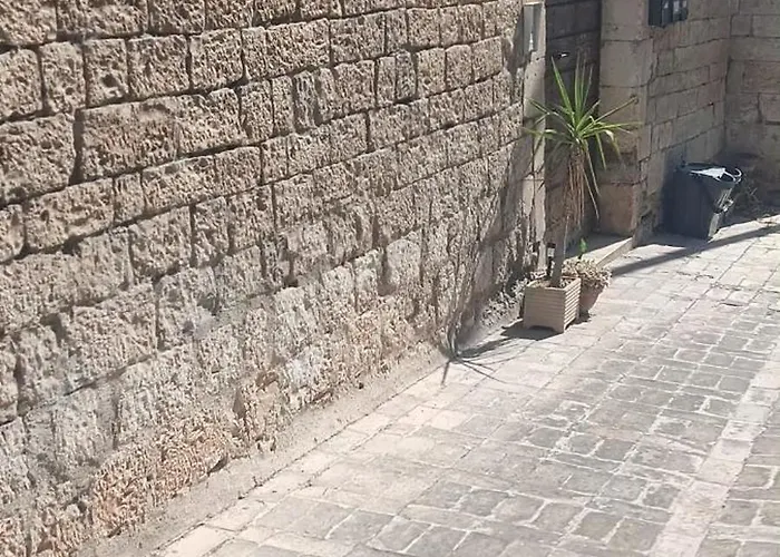 La Barba Del Frate *