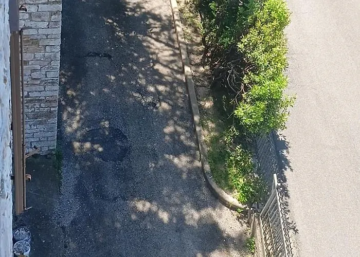 La Barba Del Frate *