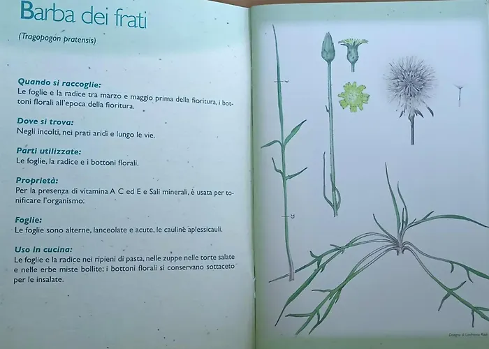 Appartement La Barba Del Frate